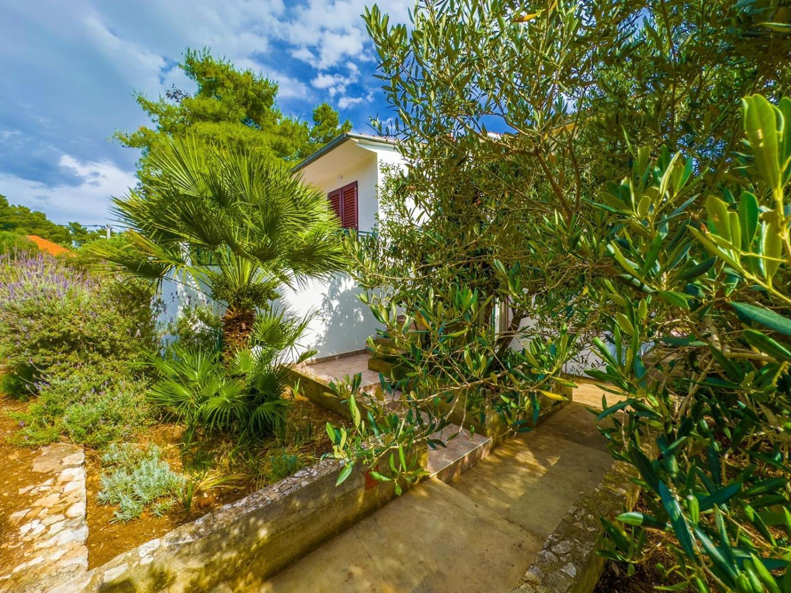 Apartment Tanja Vela Luka Exterior foto